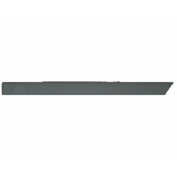 PRIMED REAR DOOR MOULDING...