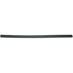 FRONT DOOR MOULDING RIGHT
