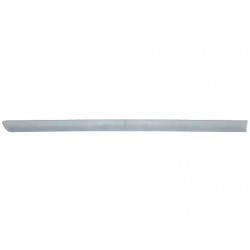 PRIMED REAR DOOR MOULDING...