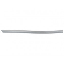 PRIMED REAR DOOR MOULDING...