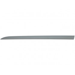 PRIMED FRONT DOOR MOULDING...