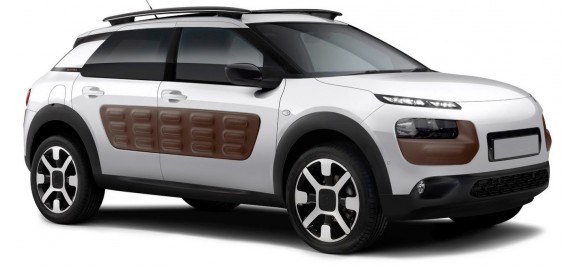C4 CACTUS (06/2014 » 03/2018)