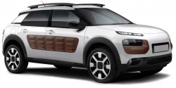 C4 CACTUS (06/2014 » 03/2018)